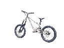CAPRA hinten.webp